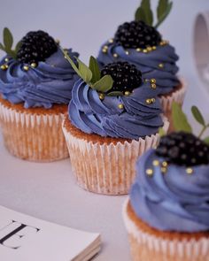 four cupcakes with blue frosting and blackberries on top are sitting on a table