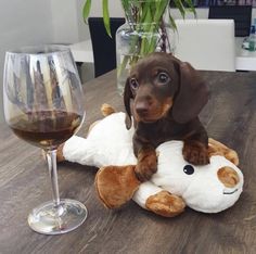 a dog sitting on top of a stuffed animal next to a glass of wine