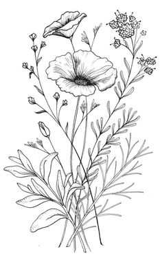 an ink drawing of flowers on a white background