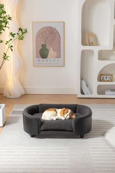 a dog laying on top of a bed in a living room next to a potted plant