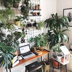 a laptop on a desk surrounded by potted plants and other office supplies in front of a wall mounted planter