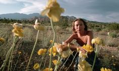 a woman sitting in the middle of a field with yellow flowers