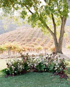 an arrangement of flowers and greenery in the grass under a tree on a hillside