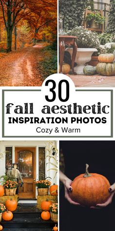 Autumn Aesthetic Photos Fall Aesthetic Photos, Pumpkin Aesthetic, Thanksgiving Table Decor Ideas, Aesthetic Pumpkin, Thanksgiving Table Decor, Fall Comfort Food, Fall Mood Board, Beautiful Pumpkins, Cozy Fall Decor