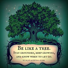 a tree with the words be like a tree stay grounded, keep growing and know when to let go