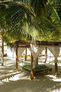 a bed under some palm trees on the beach