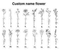 the flower names and their meanings are shown in this hand drawn diagram, which shows how many