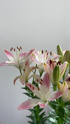 pink and white flowers in a green vase on a counter top, with the wall behind them