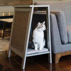 a cat sitting on top of a wooden shelf next to a gray couch in a living room