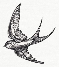 a drawing of a bird flying in the sky