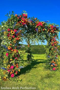 an arch made out of flowers in the middle of a green field with blue sky