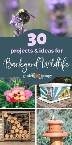 several different pictures with the words 30 projects and ideas for back yard wildlife garden therapy