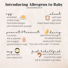 an info sheet with instructions on how to prepare baby food