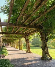 an outdoor covered walkway with benches and trees on both sides, surrounded by greenery