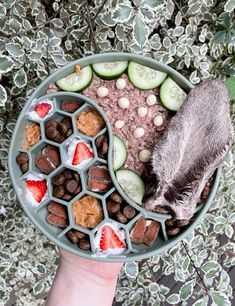 a hand holding a bowl filled with fruit and nuts next to another bowl full of food