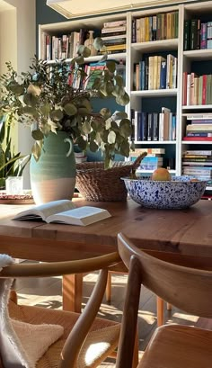 a table with two chairs and a potted plant on top of it in front of a bookshelf