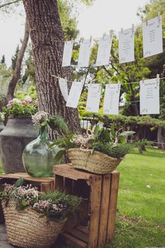 two vases with plants in them are sitting on wooden crates under a tree and hanging from the branches