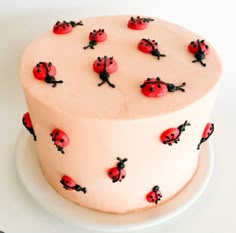 a white cake with red and black ladybugs on it's icing