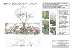 an image of a garden plan with flowers and plants in it's center area