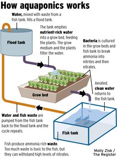 a diagram showing how aquaponics work