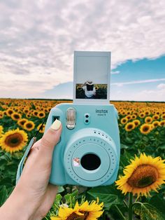 a person holding up a polaroid camera in front of a field of sunflowers