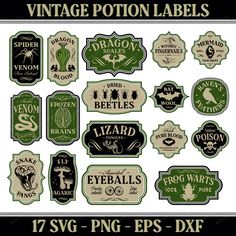 vintage bottle labels for various types of bottles and their names are shown in green on white