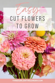 colorful flowers in a vase with text overlay that says easy cut flowers to grow