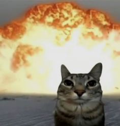 a cat sitting in front of a large explosion with it's eyes wide open