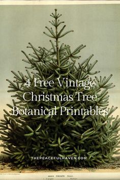 a christmas tree with the words free vintage christmas tree botanical printables