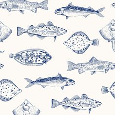 a bunch of different types of fish on a white background with black and blue ink