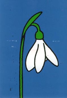 an image of a white flower on a blue background