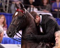 a man riding on the back of a brown horse