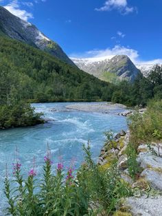 a river flowing through a lush green forest covered hillside next to a tall mountain range