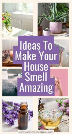 the words, ideas to make your house smell amazing are shown above pictures of flowers and plants