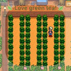 an image of a game screen with the words love green tea in front of it