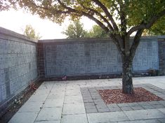 a small tree is in the middle of a concrete courtyard with cement blocks on either side