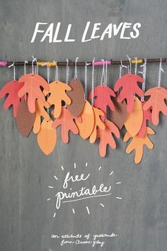 fall leaves are hanging on a clothes line