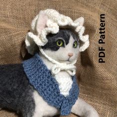 a black and white cat wearing a blue scarf