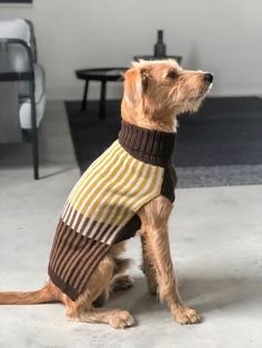 a dog wearing a sweater sitting on the floor