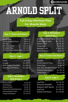 the workout plan for men and women is shown in green with black lettering on it