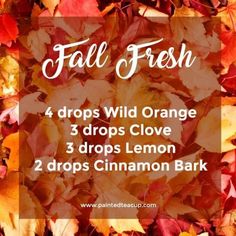 Fall Fresh Diffuser Blend | Fall Essential Oil Diffuser Blend | Wild Orange, Clove, Lemon and Cinnamon essential oils by maryellen Fall Essential Oils, Fall Diffuser Blends, Orange Clove, Yl Essential Oils