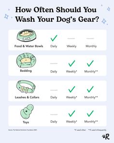 an info sheet describing how to wash your dog's gear and how to use it