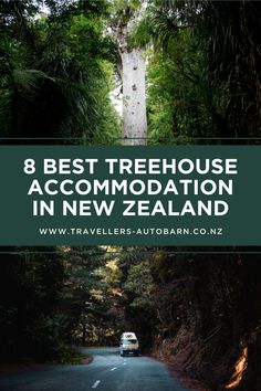 a car driving down a road with the words 8 best treehouse accommodations in new zealand