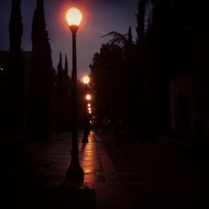 the street lights shine brightly at night in this dark cityscape, with trees and people walking on the sidewalk