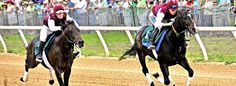 two jockeys are racing horses down the track in front of a large group of people