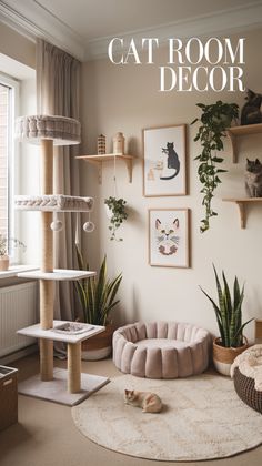 a cat room decorated in neutral tones with plants and pictures on the wall