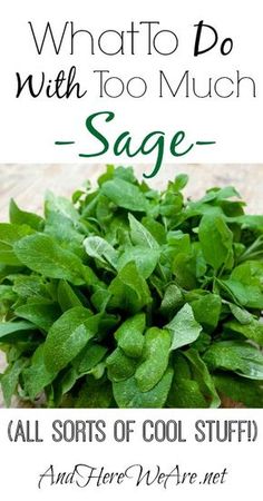 what to do with too much sage