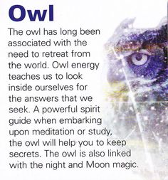 the owl has long been associated with the need to treat from the word ovl energy