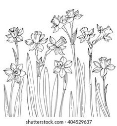 April Stickers, Flowers Daffodils, Wildflower Drawing, Daffodil Tattoo, Flower Line Drawings, Flower Sketches, Floral Drawing, 수채화 그림, Flower Doodles