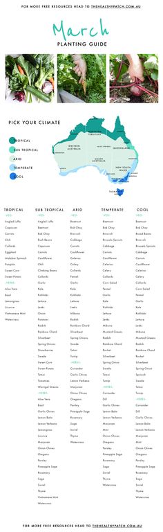 a map with several different places to eat in the country, including mountains and trees